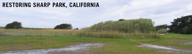 Restoring Sharp Park, California 